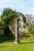/_PHOTOS/20220430-Jervaulx_Abbey/20220430-112103.jpg