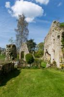 /_PHOTOS/20220430-Jervaulx_Abbey/20220430-112316.jpg