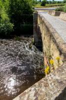 /_PHOTOS/20220709-Bangor_on_Dee_Bridge/20220709-150153.jpg