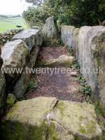 /_PHOTOS/20230419-Bride_Stones/20230419-113544.jpg