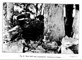 /_PHOTOS/PREHISTORY/Honourable_Society_of_Cymmrodorion/Honourable_Society_of_Cymmrodorion_1910_Fig_3.jpg