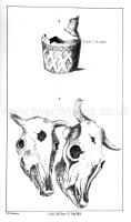 /_PHOTOS/PREHISTORY/Merewether/20221017-Plate_XY.jpg