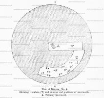 /_PHOTOS/PREHISTORY/Wiltshire_Archaeological_Magazine/WAM_Volume_8_Page_88.jpg