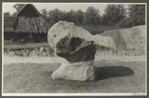 /_PHOTOS/PREHISTORY/jLM8wVEo.jpg